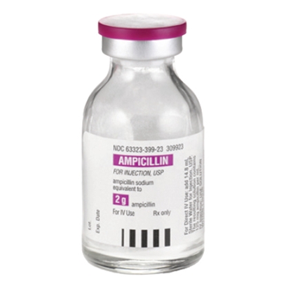 Ampicillin Injection 2 g/Vial, Single Dose Vial 24 mL, 10/Tray