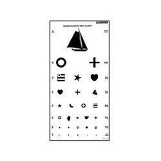 Eye Chart, Snellen Eye Chart, Wall Chart, Eye Charts for Eye Exams 20 feet  11 X 22 in. 