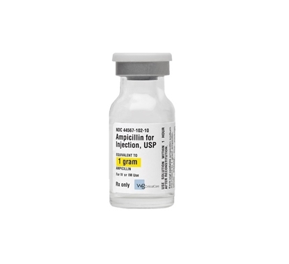 Ampicillin Injection 1 g/Vial, Single Dose Vial 10 mL, 10/Tray