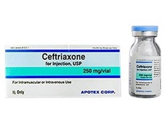 Ceftriaxone Injection 250 mgVial Single Dose Vial 10 mL 10Tray