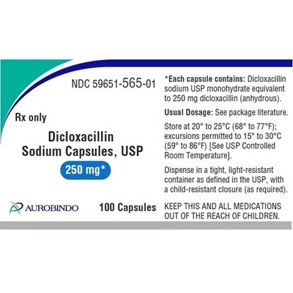 Dicloxacillin Sodium, 250mg, 100 Capsules/Bottle