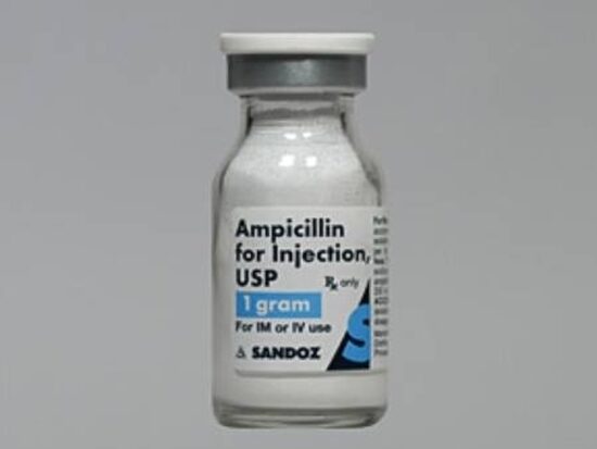 Ampicillin Injection 1 gVial Single Dose Vial 10 mL 10Tray